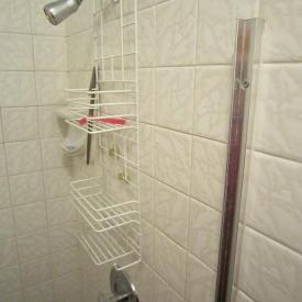 Indian Trail Old Bathroom Shower Before 6